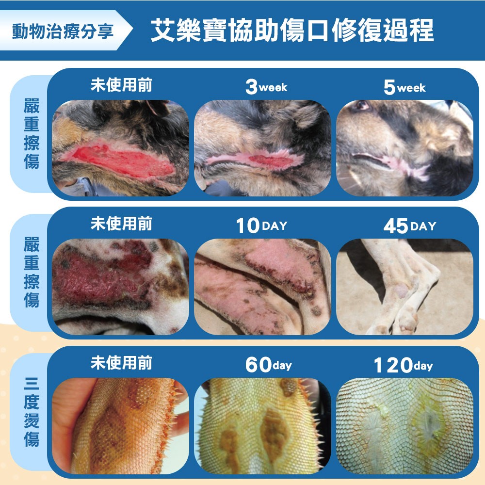 限時免運★勤達艾樂寶義大利純草本油劑 5ml ( 動物傷口保護)貓、狗、烏龜、鳥可用)